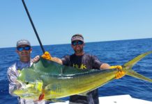 Experience The Thrill Of Deep Sea Fishing In Florida