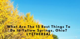 What Are The 15 Best Things To Do In Yellow Springs, Ohio? Yellow Springs, Ohio