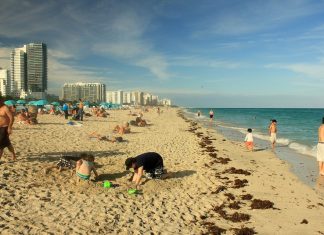 Exploring Miami on Foot