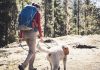 Planning To Travel With Your Pet – Bear These Points In Mind!
